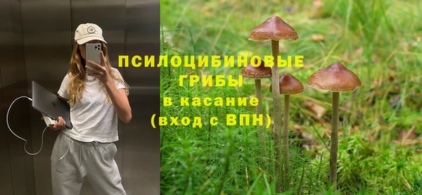 меф Белокуриха