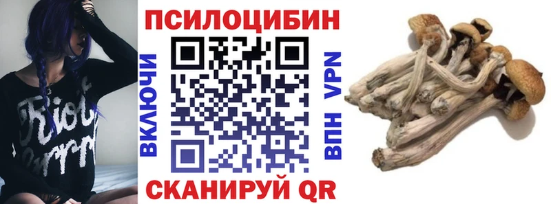 нарко площадка наркотические препараты Вязьма Псилоцибиновые грибы MAGIC MUSHROOMS KRAKEN ссылка